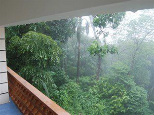 Magic Mist Eco Resorts Munnar Kültér fotó